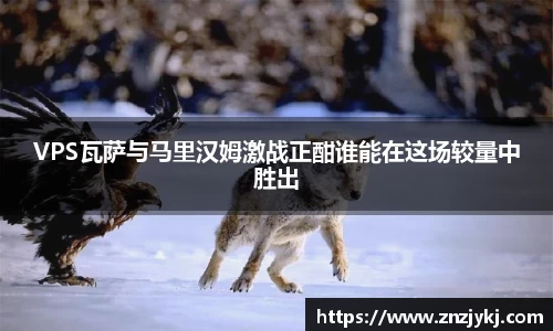 VPS瓦萨与马里汉姆激战正酣谁能在这场较量中胜出